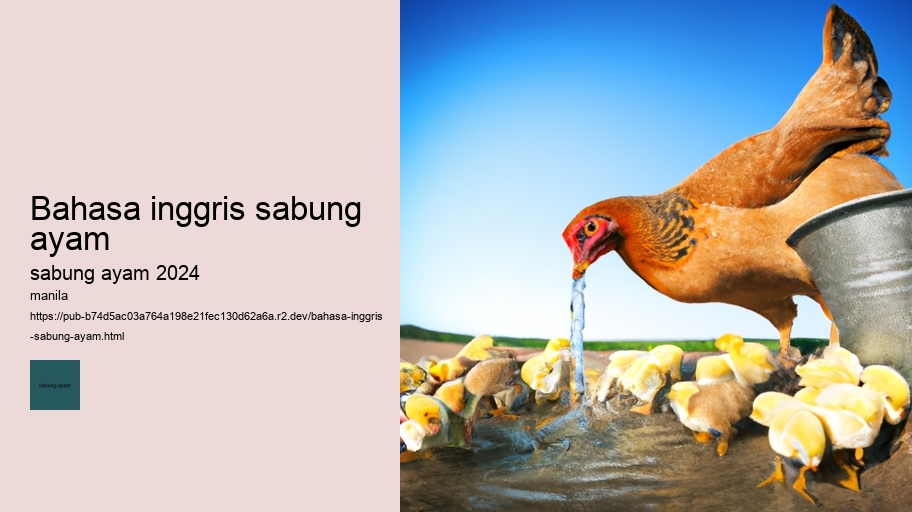 bahasa inggris sabung ayam