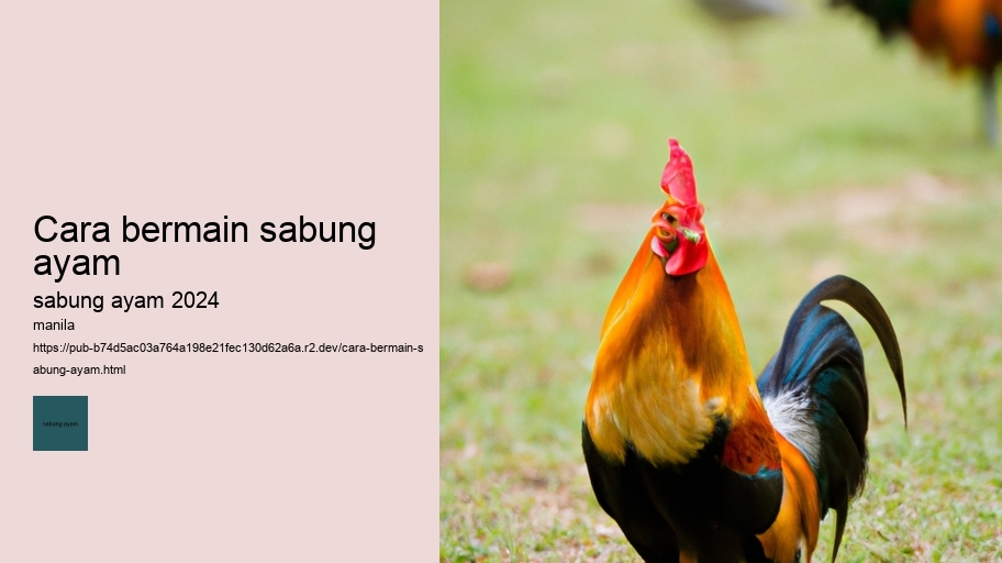 cara bermain sabung ayam