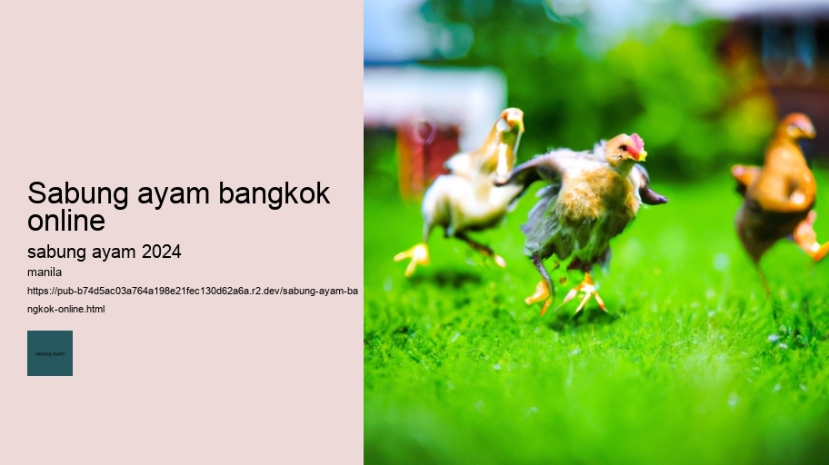 sabung ayam bangkok online