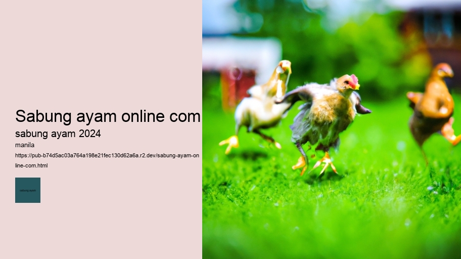 sabung ayam online com